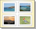 Albums